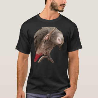 Camiseta Cinza Africana Papagaio Einstein Engraçado Cita Ca