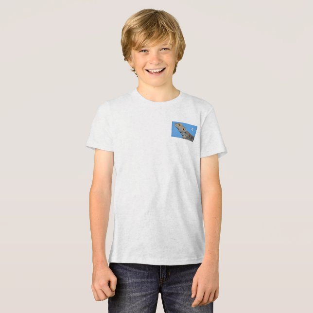 Camiseta Cinza Lizard e meia lua (Frente Completa)