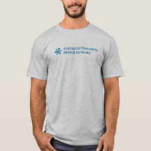 Camiseta cinza masculina com grande logotipo AMBS