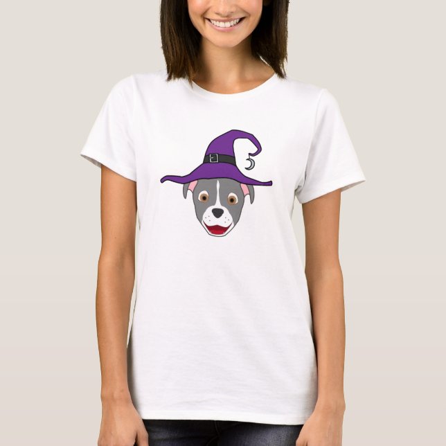 Camiseta Cinza Pitbull com Blaze & Witch Hat (Frente)