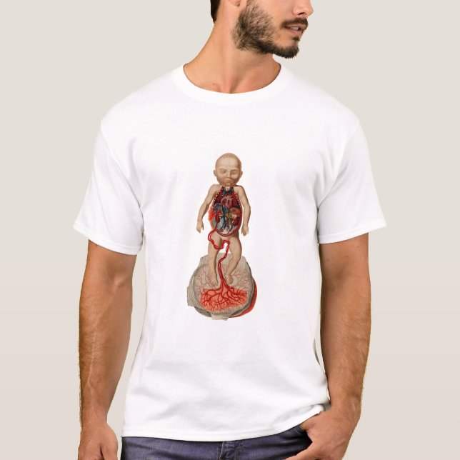 Camiseta circulação sanguínea do feto Ilustração (Frente)