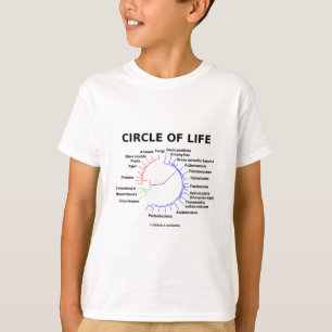 Camiseta Círculo da vida (árvore filogenética circular)