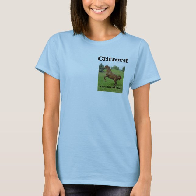 Camiseta Clifford da excursão do verão 2010 da ilha de (Frente)