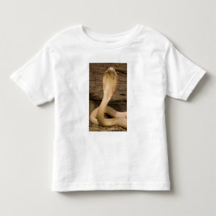 Camiseta Cobra Monóculo Albina, Naja kaouthia, enrolada