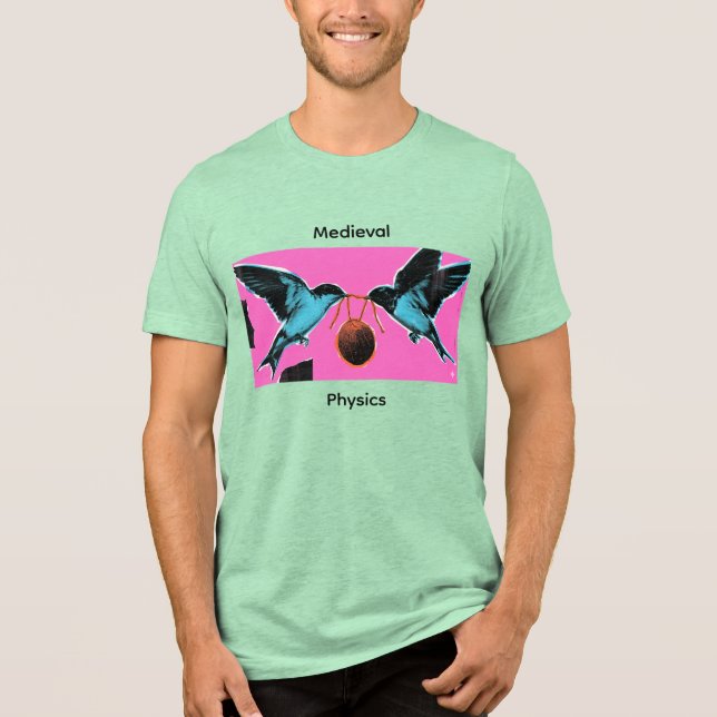 Camiseta Coconuts Don't Migrate Medieval Physics Tee (Frente)