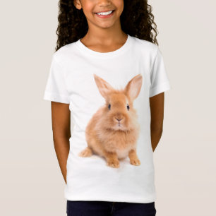 Camiseta Coelho