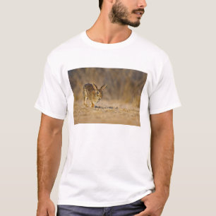 Camiseta coelho da cottontail oriental saltando