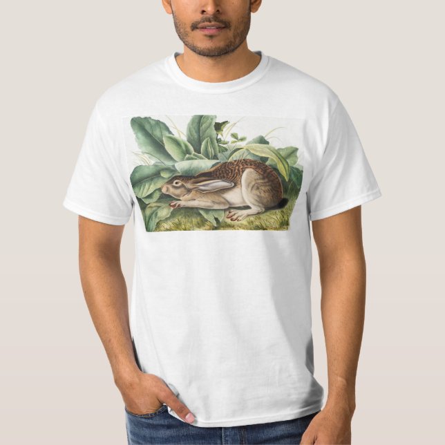 Camiseta Coelho da lebre de cauda negra (Lepus negricaudatu (Frente)