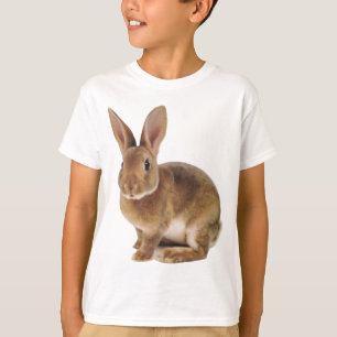 Camiseta Coelho de coelho bonito de Kawaii