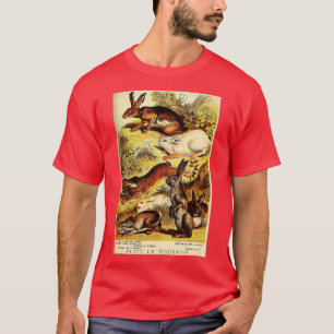 Camiseta Coelho-do-casaco - Lebre - Coelho selvagem - Litho