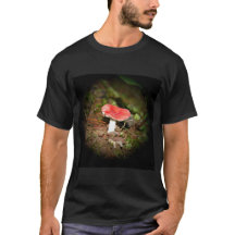 Cogumelo Russula de Tampa Vermelha
