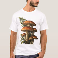Cogumelos Amanita Vermelhos com Samambaia Botânica
