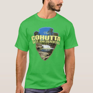Camiseta Cohutta Wilderness ponta de flecha vintage