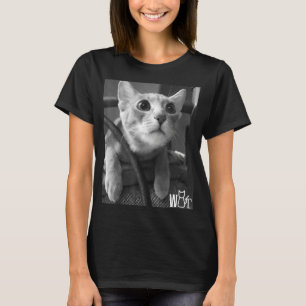 Camiseta Coisa de gato bonito para garotas de gato mulheres