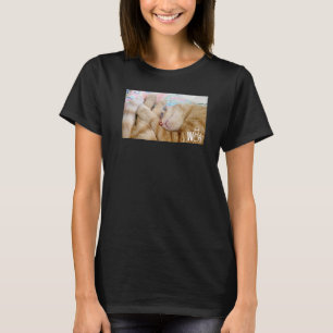 Camiseta Coisas de gato fofas para meninas gato mulheres ho