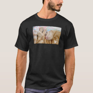 Camiseta Coisas de gato fofas para meninas gato mulheres ho
