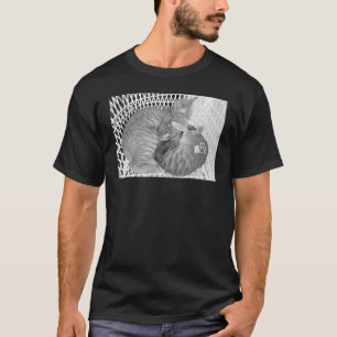 Camiseta Coisas de gato fofas para meninas gatos mulheres h