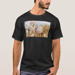 Camiseta Coisas de gato fofas para meninas mulheres homens 