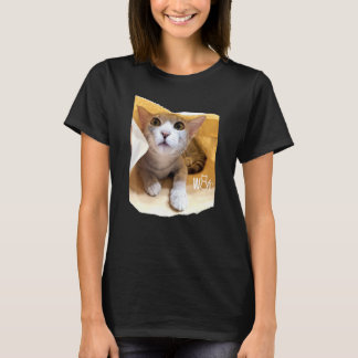 Camiseta Coisas de gato fofo para meninas mulheres homens c