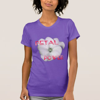Camiseta Coleção de Aguardações Contínuas