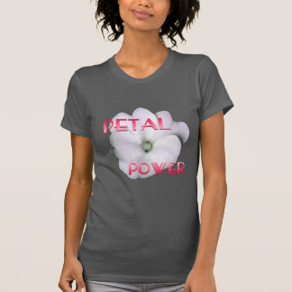 Camiseta Coleção de Aguardações Contínuas