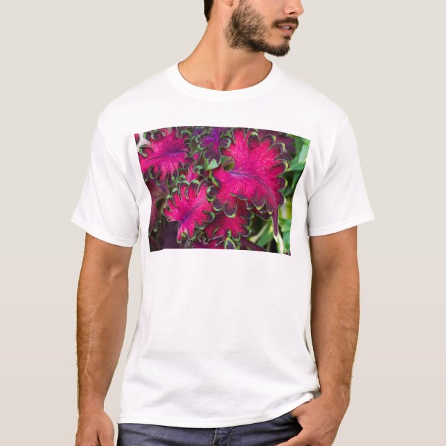 Camiseta Coleus Macro (Frente)