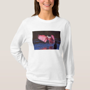 Camiseta Colhereiro (Ajaia ajaja) com Cormorão