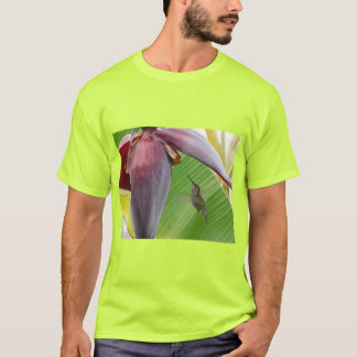 Camiseta Colibri pairando