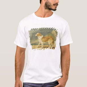 Camiseta Collie Áspero-revestido, 1809 (óleo a bordo)