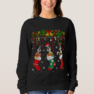 Camiseta Collie Fronteira Em Sock Xmas Reindeer Papais noei
