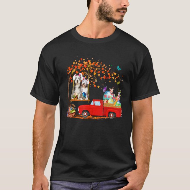 Camiseta Collie Vestindo Um Caminhão Vermelho Coelhinho De  (Frente)