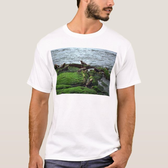 Camiseta Colônia da iguana marinha (Frente)