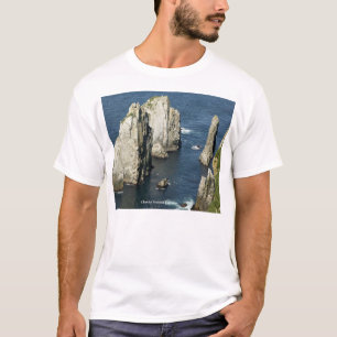 Camiseta Colônias da ave marinho de Chowiet, Alaska