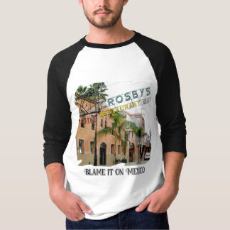 Camiseta Coloque a culpa no México