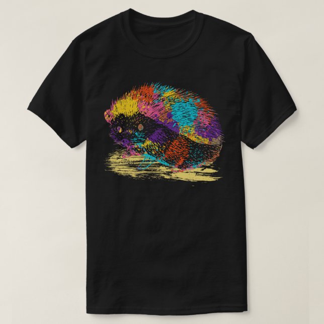 Camiseta Colorida Hedgehog (Frente do Design)