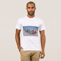 Comando de ar F-82 do Alasca