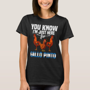 Camiseta Comida Nicaraguense Frango Gallo Pinto Só Aqui Gal