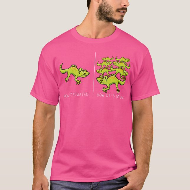 Camiseta Como Começou Como Está indo A Gecko (Frente)