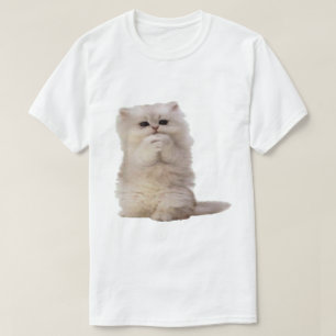 Camiseta Como Fazer uma Rampa para Gatos