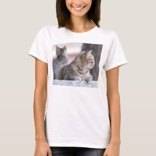 Camiseta Comprimidos em repouso