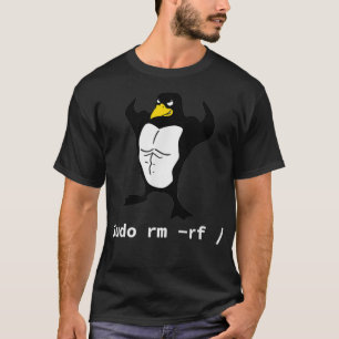 Camiseta Computadores Sudo rm rf Tu Linu Penguin