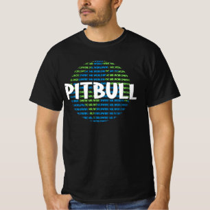Camiseta concerto pitbull 2022
