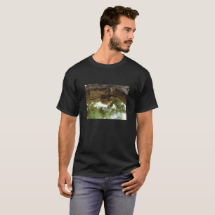 Camiseta Concha de Cicada. Estava com pressa.
