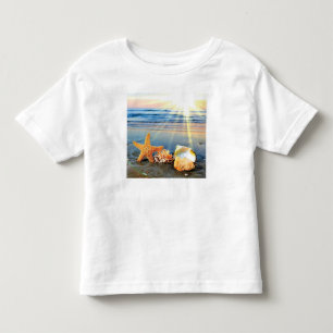 Camiseta Conchas marítimas e estrelas-do-mar na praia