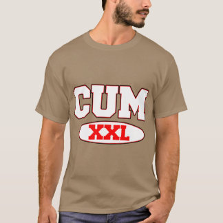 Camiseta concordia michigan XXL vintage