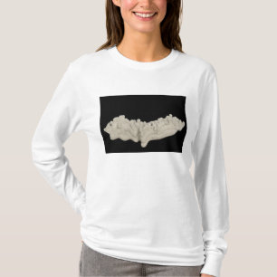 Camiseta Concretion da argila