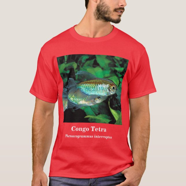 Camiseta Congo tetra , Phenacogrammus interruptus (Frente)