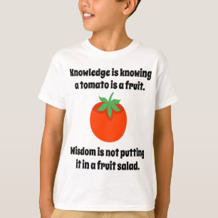 Camiseta Conhecimento É Saber Que Tomate É Um Chiclete Engr