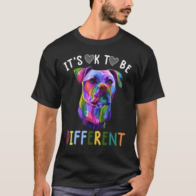 Camiseta Conscientização do Autismo É Ok Ser Diferente Pitb (Frente)