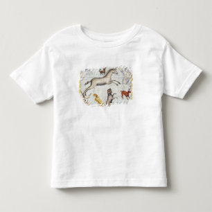 Camiseta Constelação de Monoceros com Canis Major e Mi